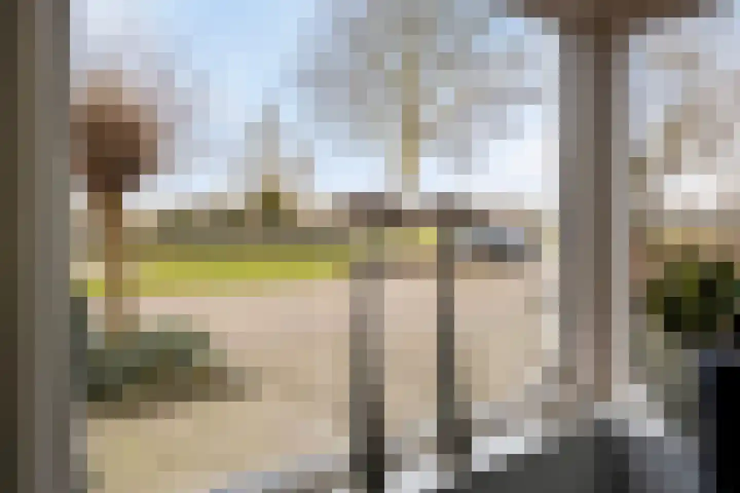 Koolmees 17 Raalte thumbnail 7