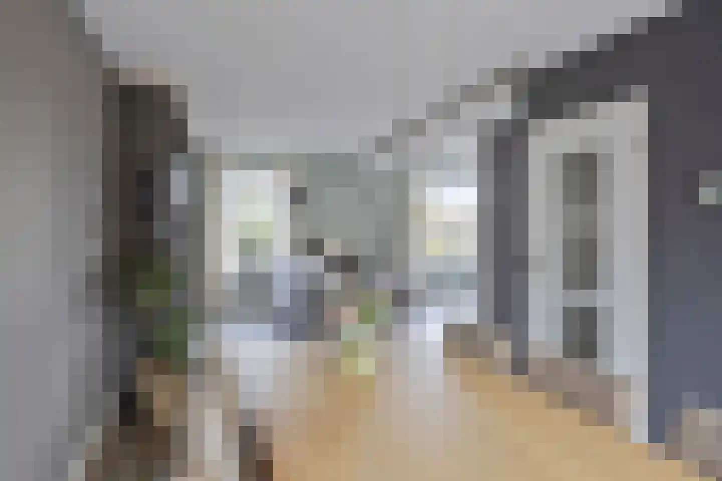 Koolmees 17 Raalte thumbnail 9