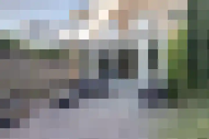 Koolmees 18 De Lier