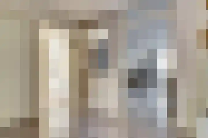 Koolmees 18 De Lier thumbnail 10