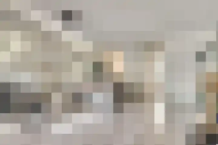 Koolmees 18 De Lier thumbnail 12