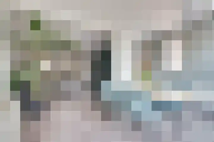 Koolmees 18 De Lier thumbnail 13