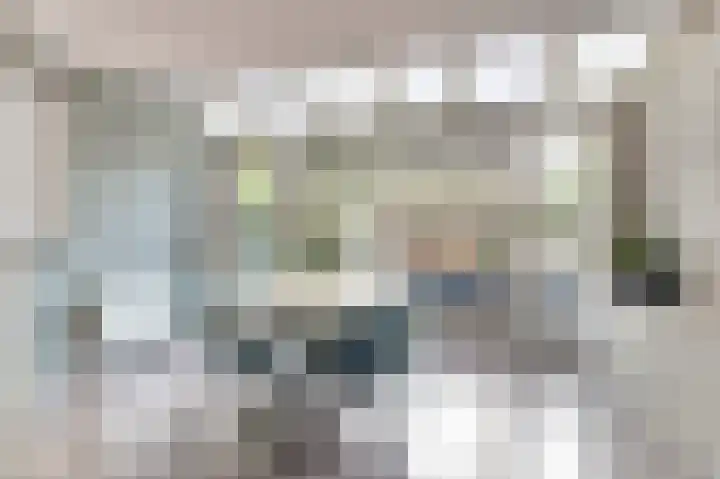 Koolmees 18 De Lier thumbnail 14