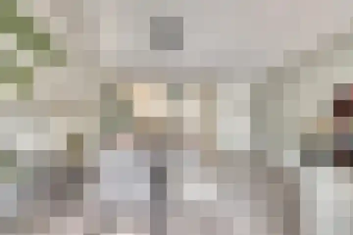 Koolmees 18 De Lier thumbnail 15