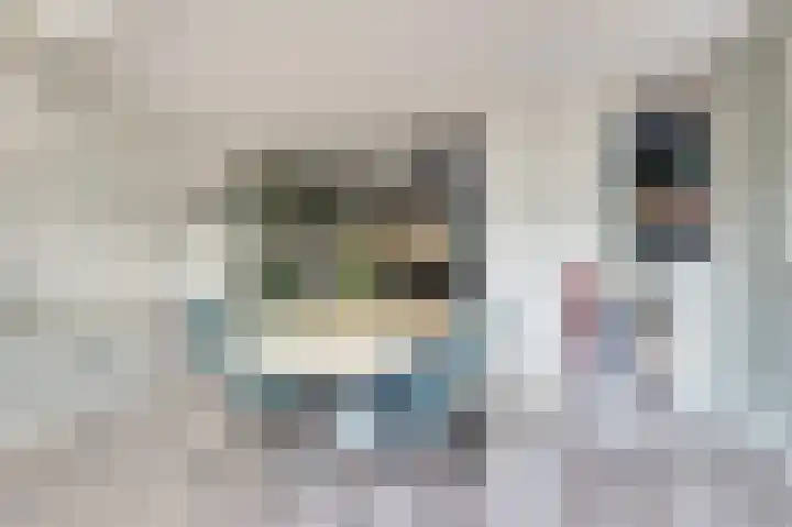 Koolmees 18 De Lier thumbnail 16