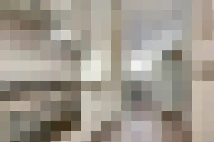 Koolmees 18 De Lier thumbnail 17