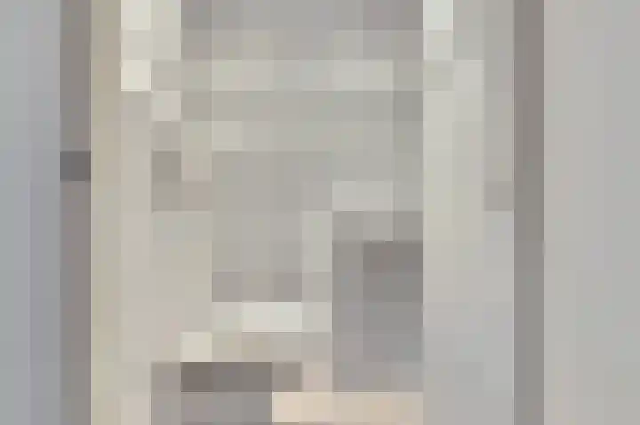 Koolmees 18 De Lier thumbnail 18