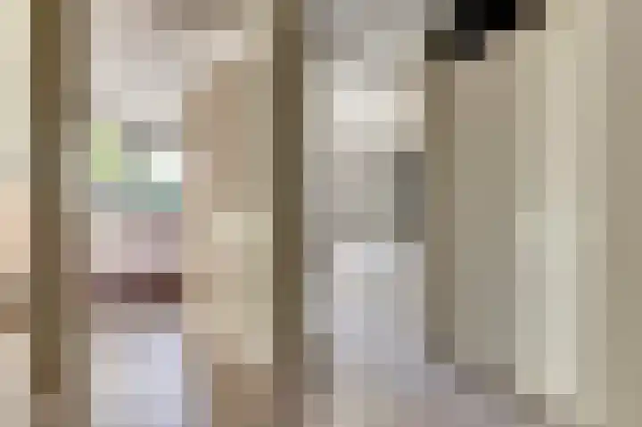 Koolmees 18 De Lier thumbnail 19