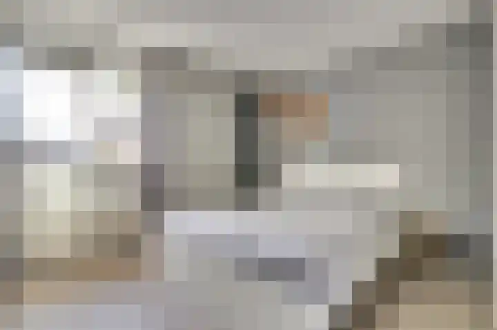 Koolmees 18 De Lier thumbnail 20