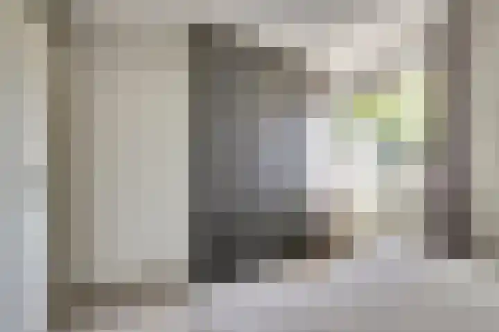 Koolmees 18 De Lier thumbnail 21