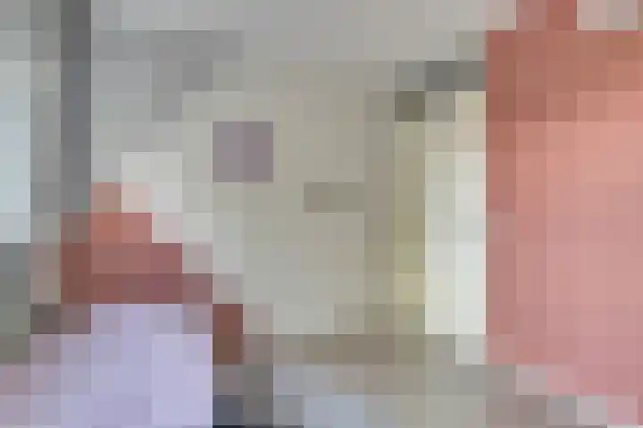 Koolmees 18 De Lier thumbnail 23