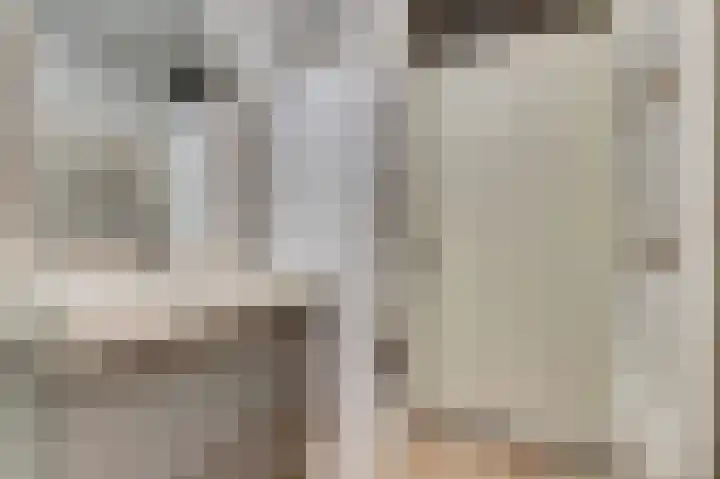 Koolmees 18 De Lier thumbnail 24