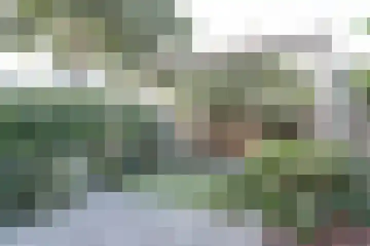 Koolmees 18 De Lier thumbnail 25