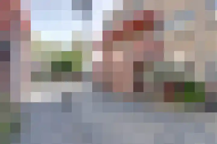 Koolmees 18 De Lier thumbnail 26