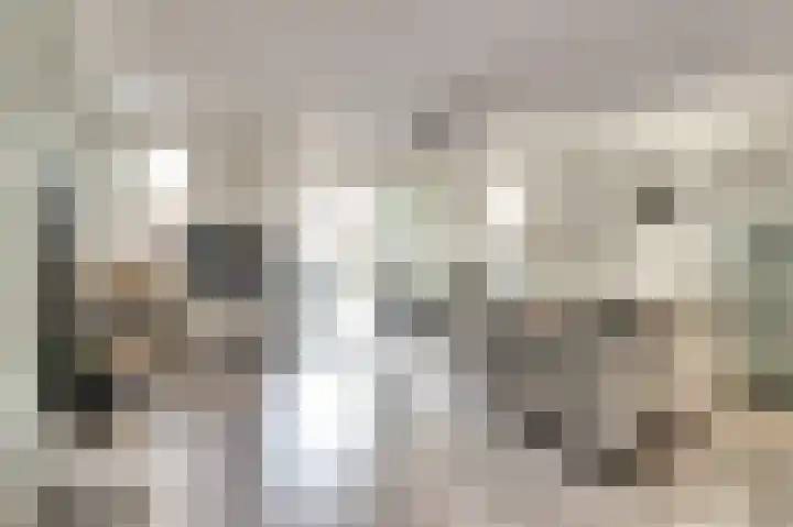 Koolmees 18 De Lier thumbnail 4