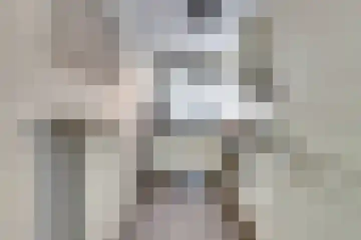 Koolmees 18 De Lier thumbnail 5