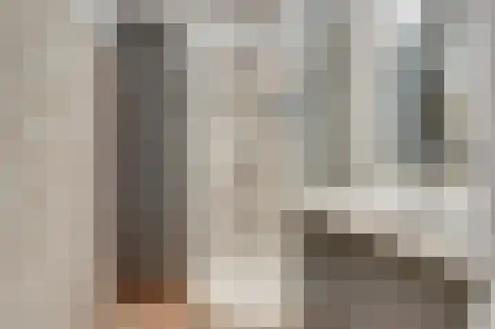Koolmees 18 De Lier thumbnail 6