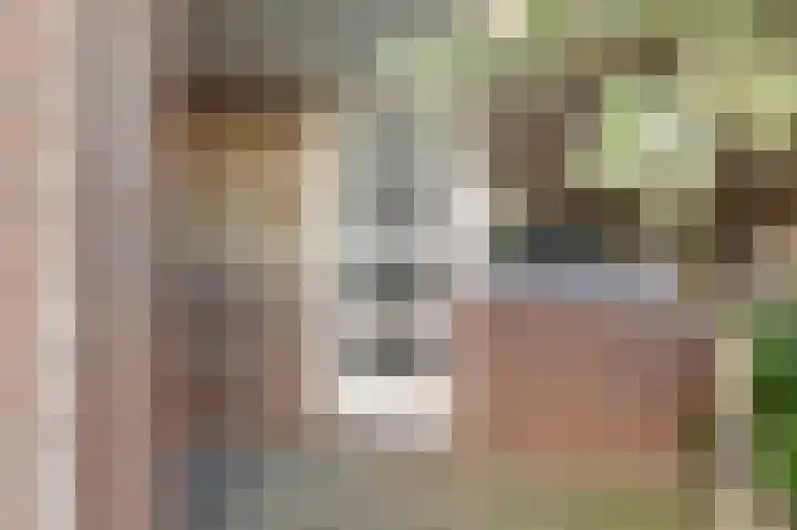 Koolmees 18 De Lier thumbnail 7