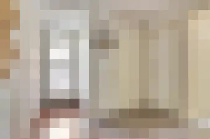 Koolmees 18 De Lier thumbnail 8