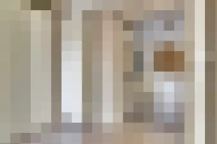 Koolmees 18 De Lier thumbnail 9