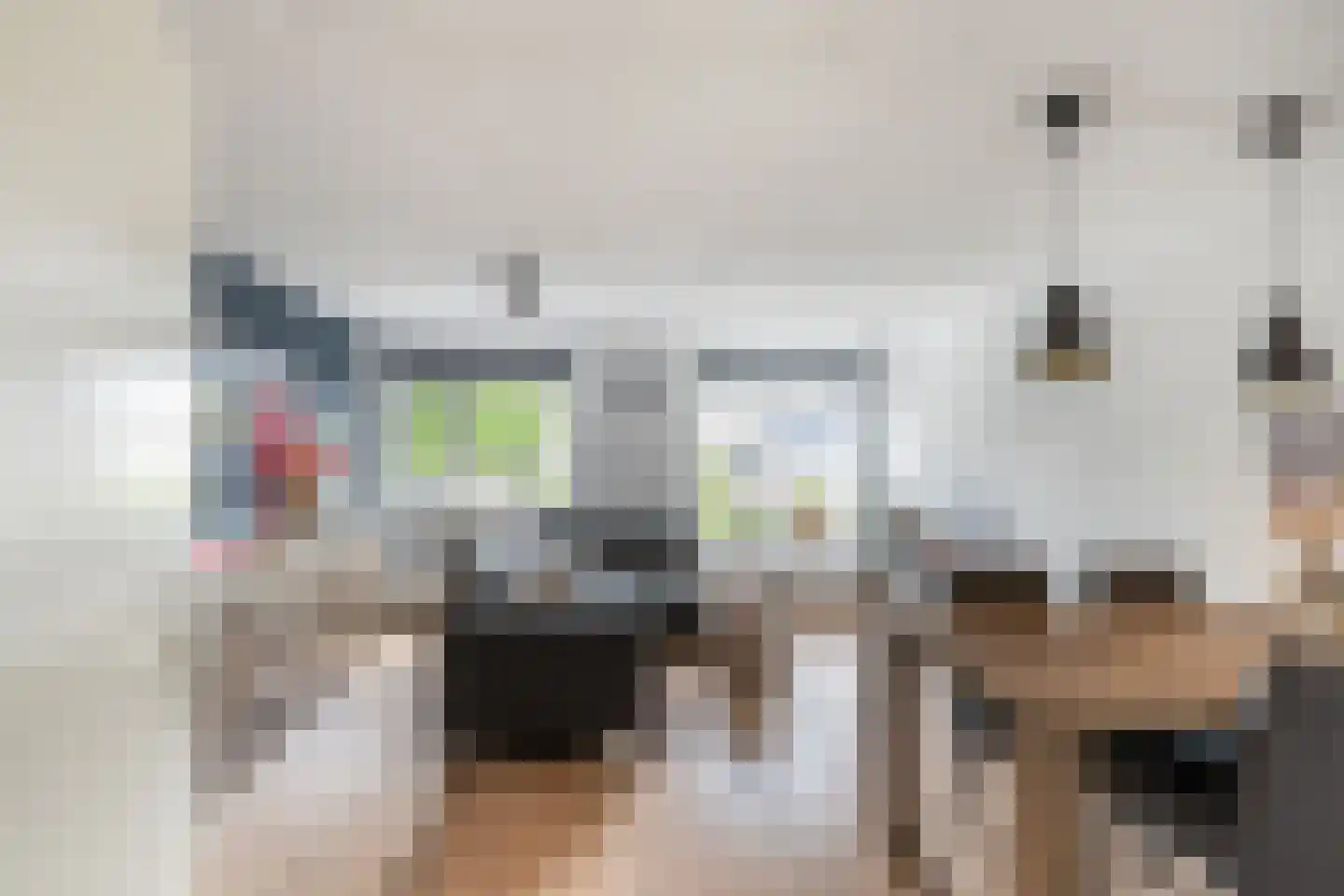 Koolmees 22 De Lier