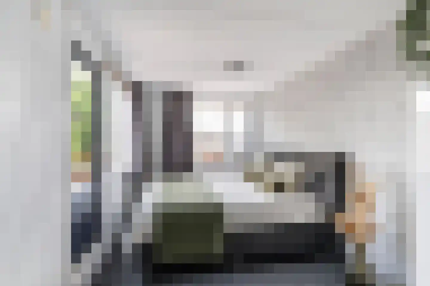 Koolmees 22 De Lier thumbnail 10