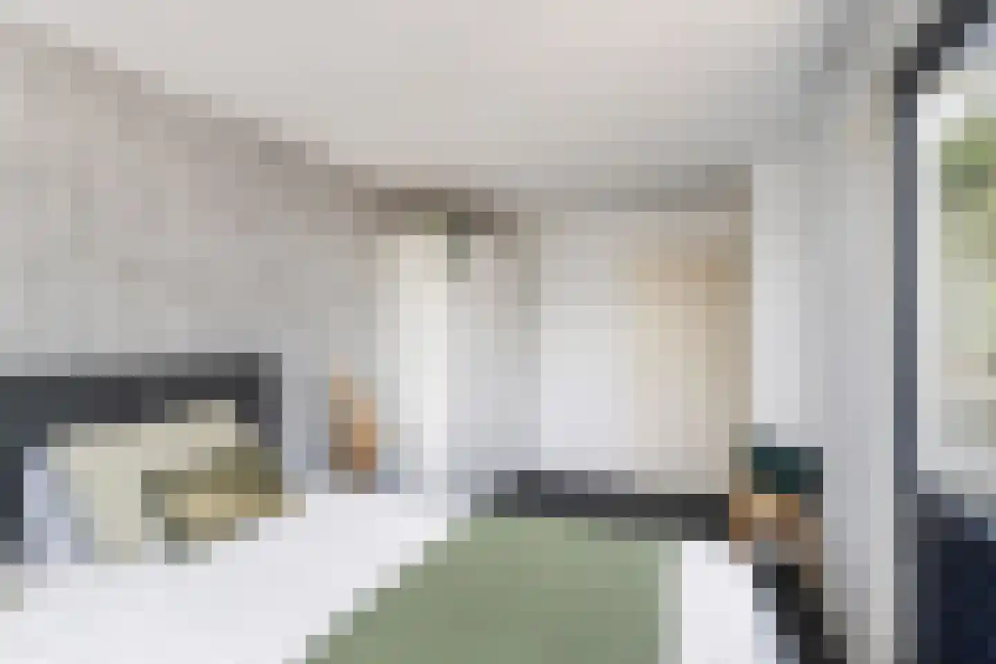 Koolmees 22 De Lier thumbnail 12