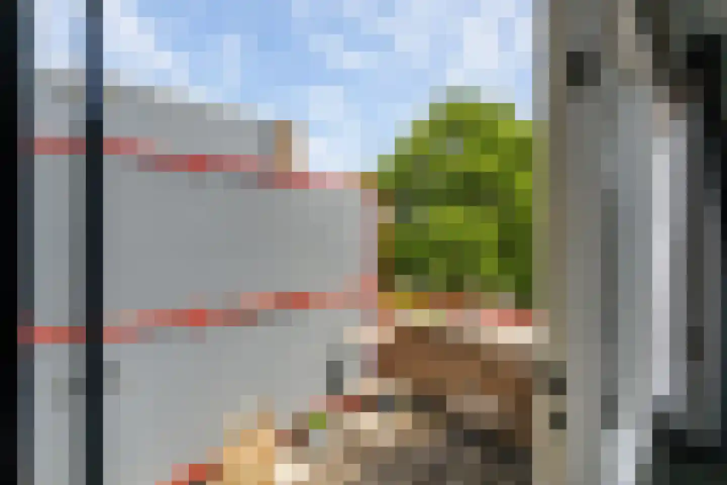 Koolmees 22 De Lier thumbnail 14