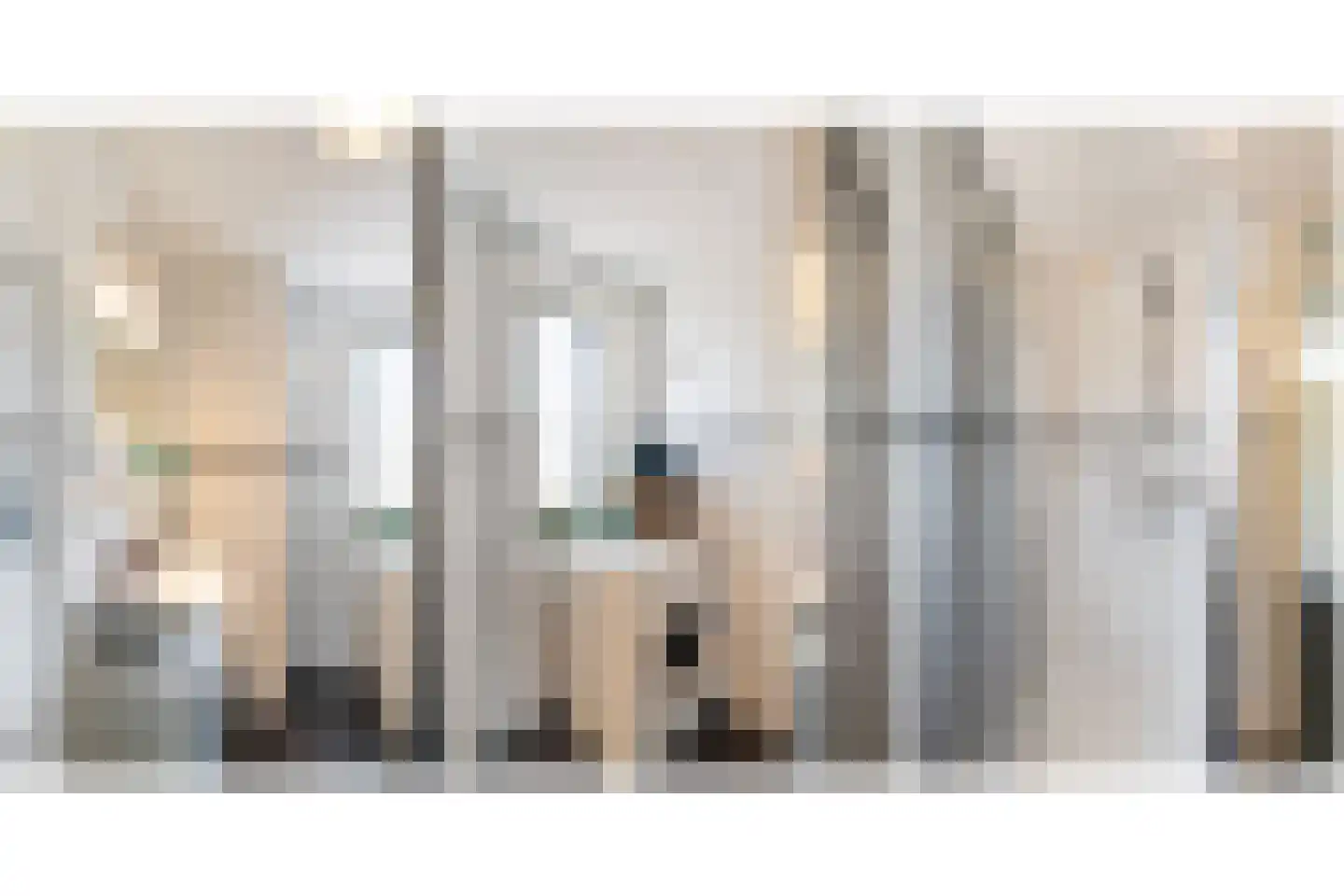 Koolmees 22 De Lier thumbnail 17