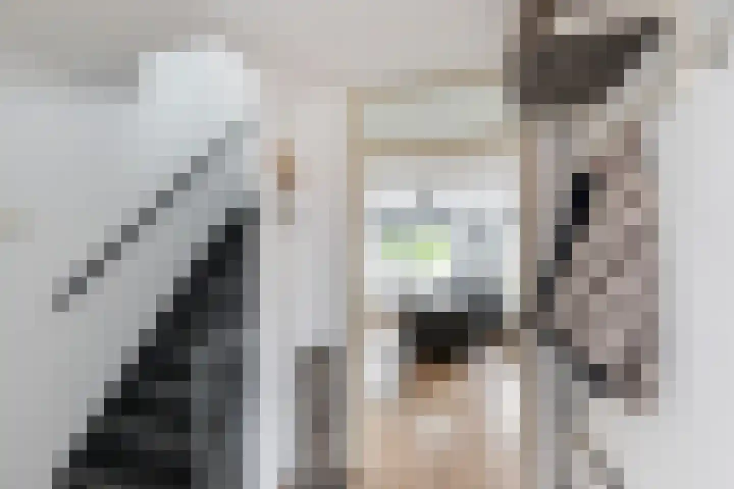 Koolmees 22 De Lier thumbnail 20