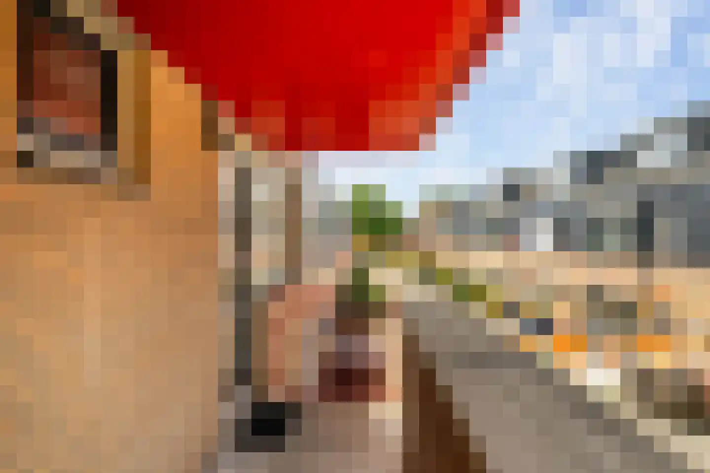 Koolmees 22 De Lier thumbnail 21