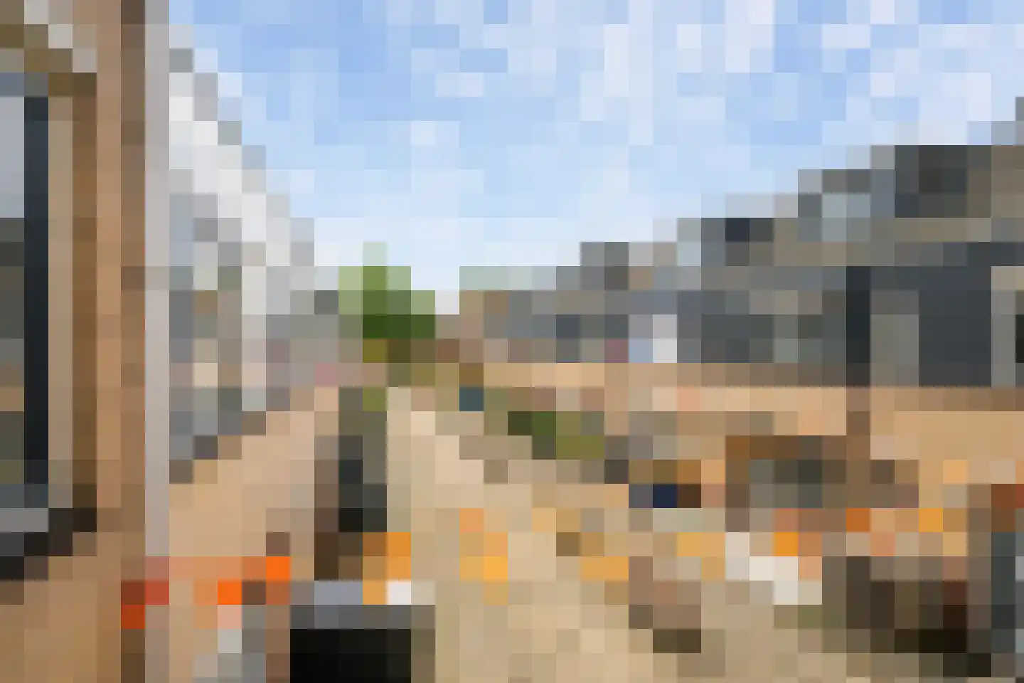 Koolmees 22 De Lier thumbnail 22