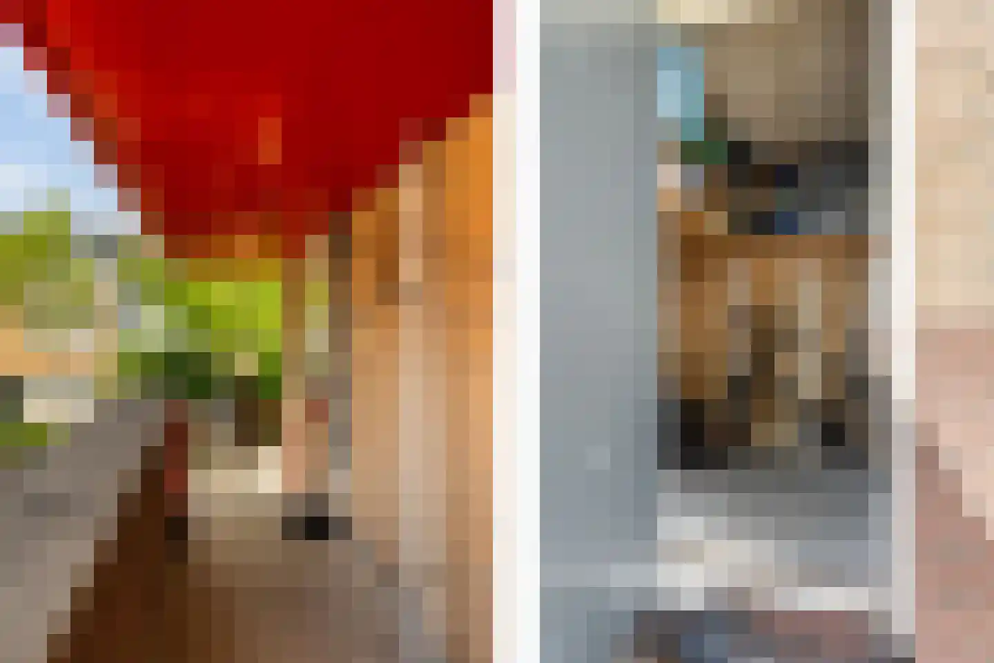 Koolmees 22 De Lier thumbnail 23