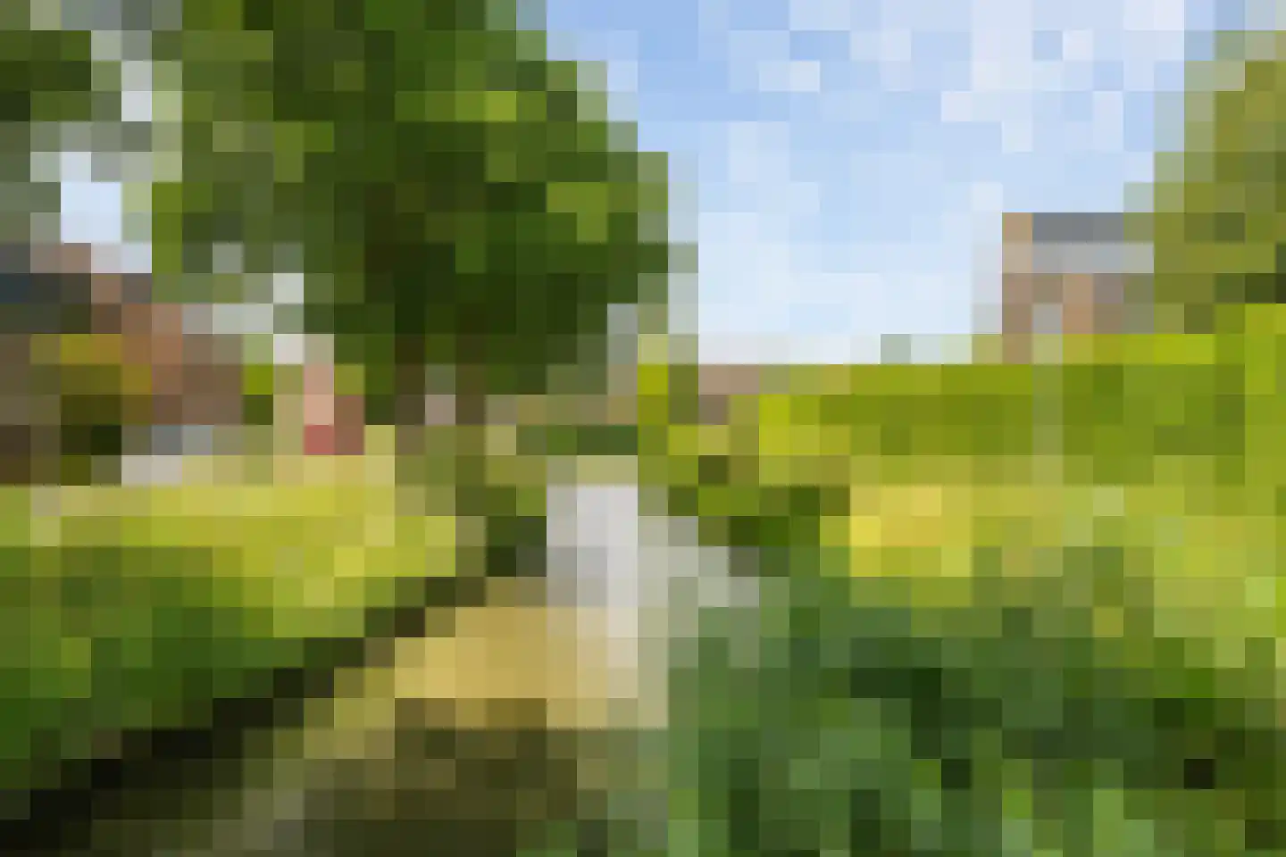 Koolmees 22 De Lier thumbnail 26