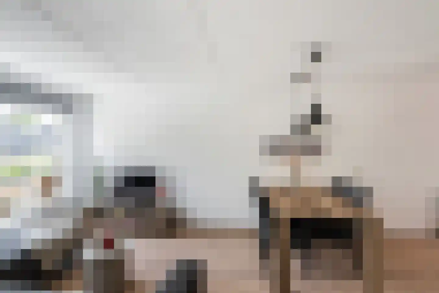 Koolmees 22 De Lier thumbnail 5