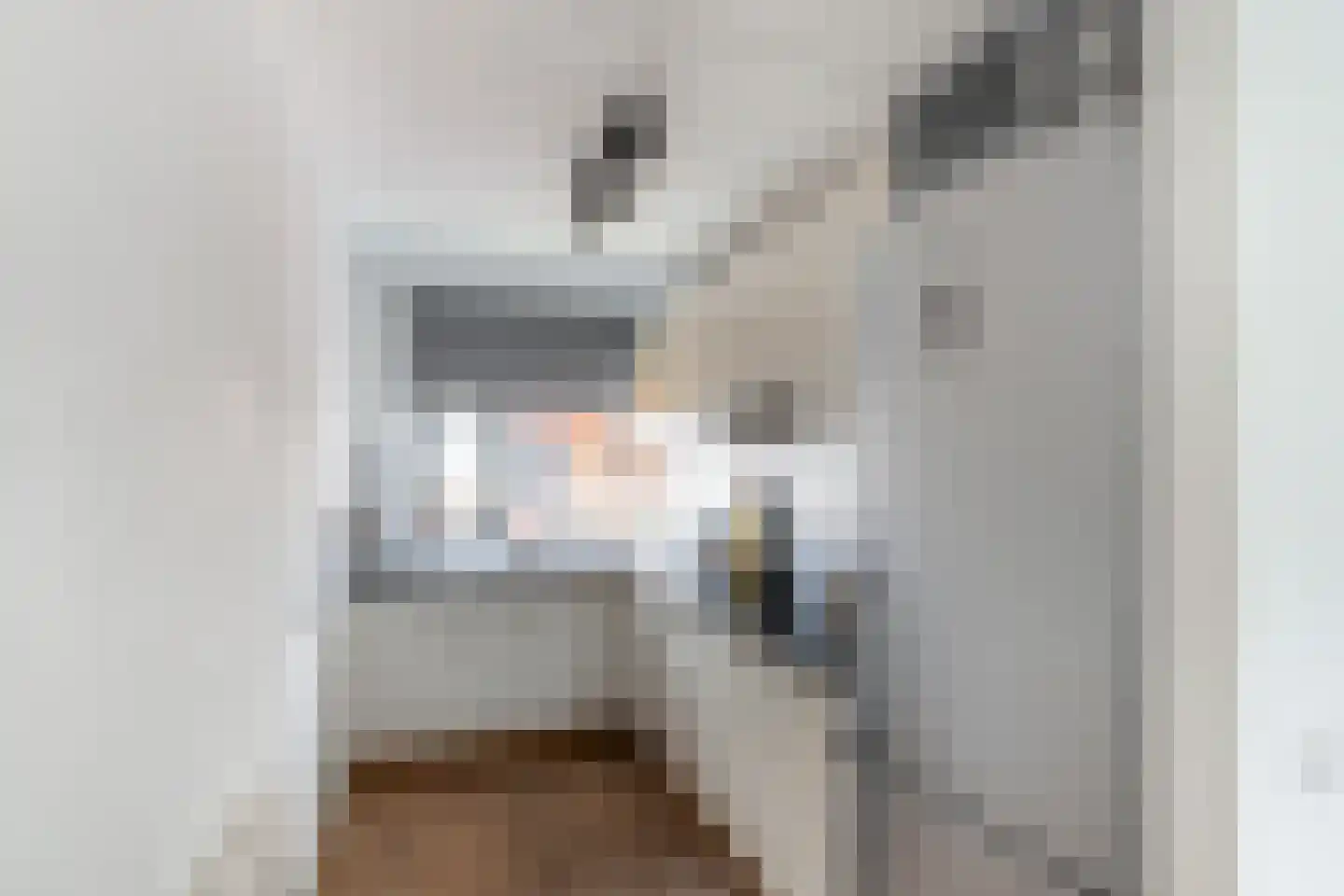 Koolmees 22 De Lier thumbnail 7