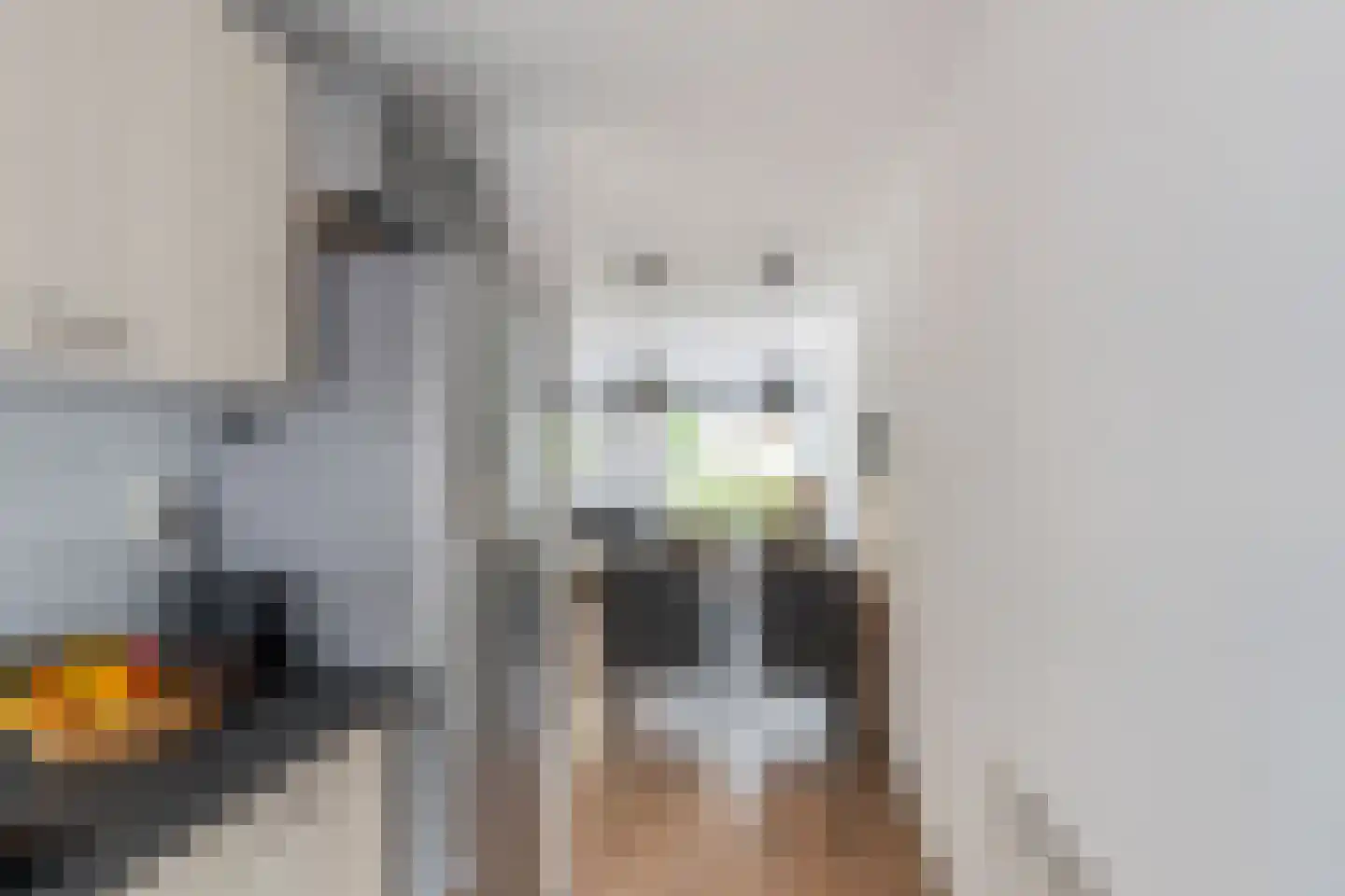 Koolmees 22 De Lier thumbnail 8
