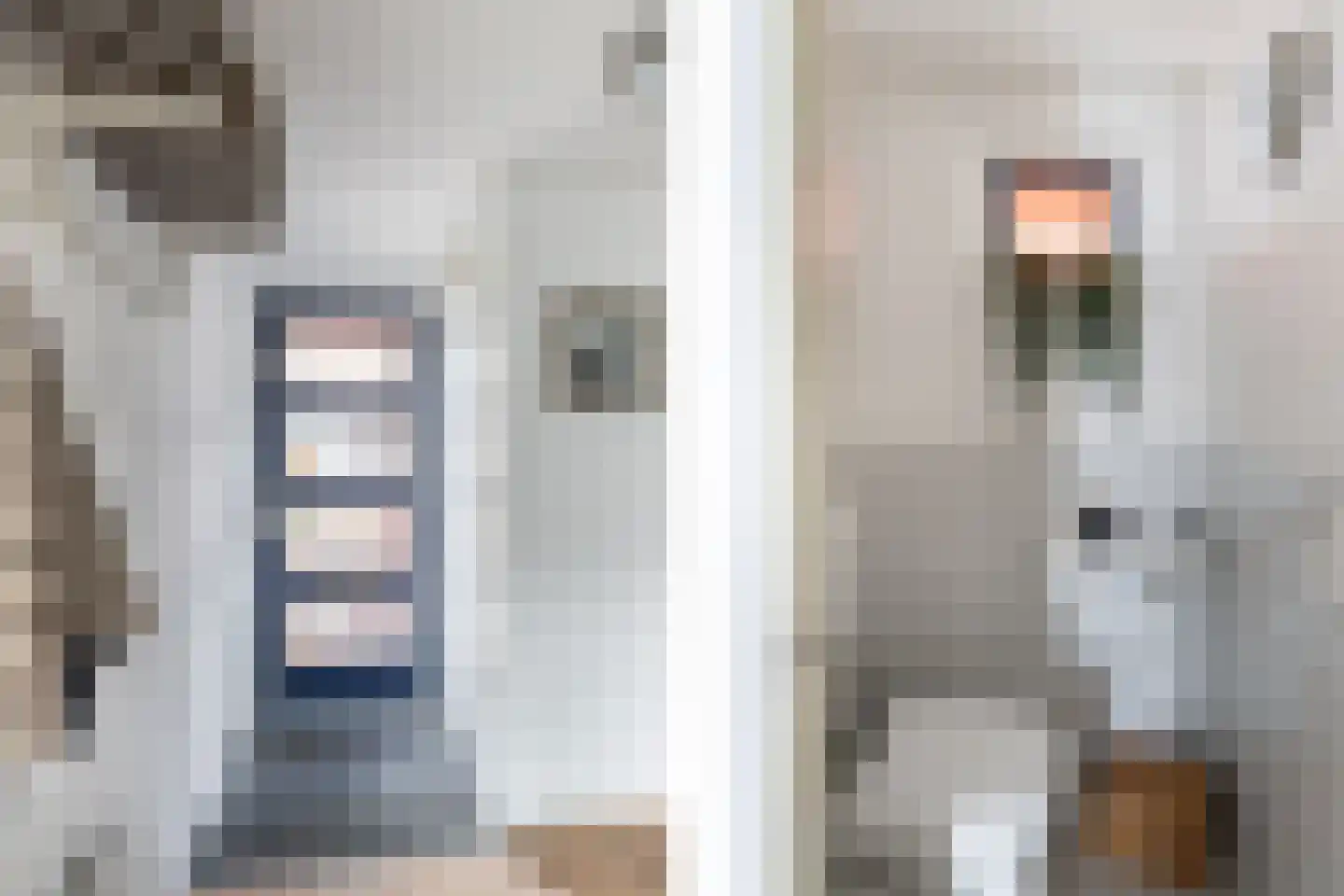 Koolmees 22 De Lier thumbnail 9