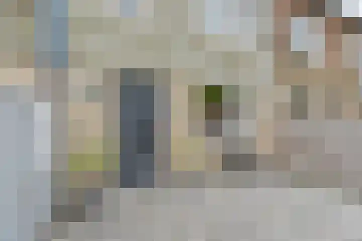 Koolmees 22 Emmen thumbnail 10