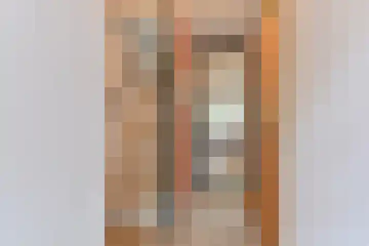 Koolmees 22 Emmen thumbnail 11