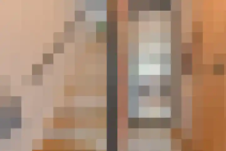 Koolmees 22 Emmen thumbnail 12