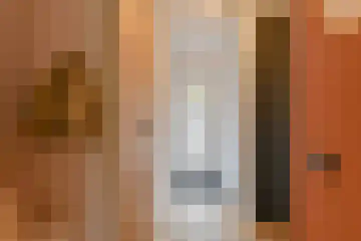 Koolmees 22 Emmen thumbnail 13