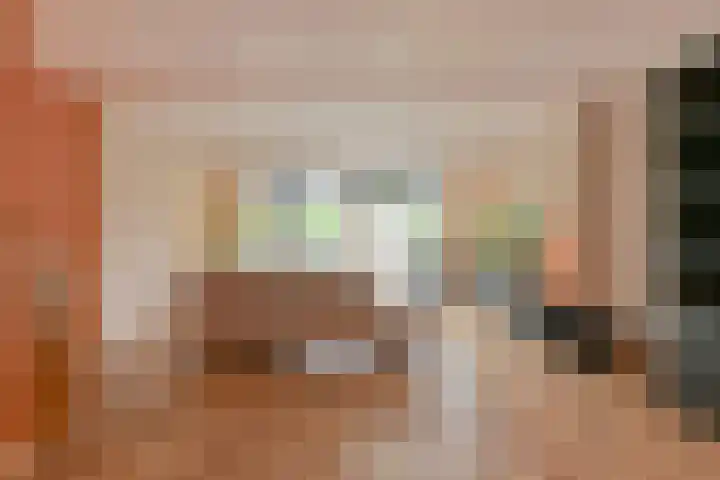 Koolmees 22 Emmen thumbnail 16
