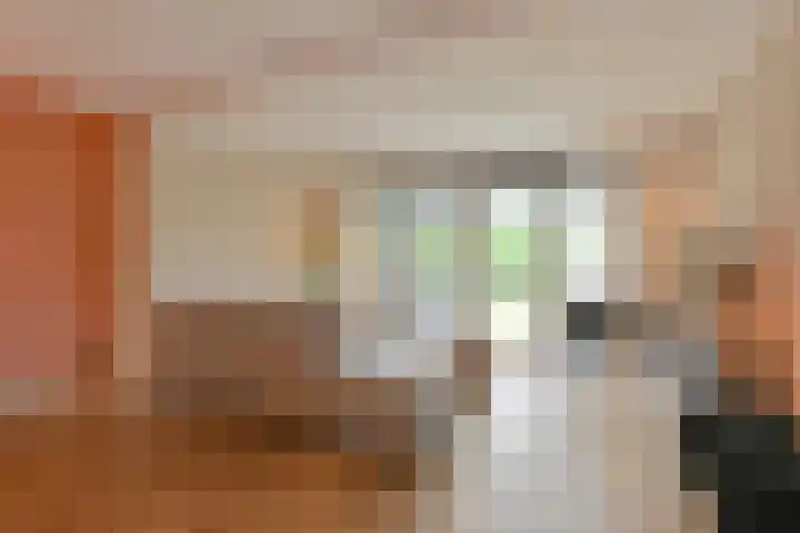 Koolmees 22 Emmen thumbnail 17