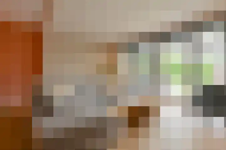 Koolmees 22 Emmen thumbnail 18