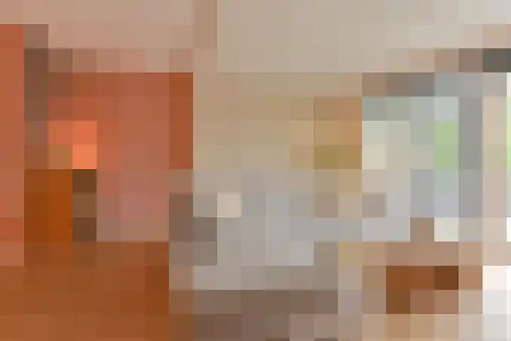 Koolmees 22 Emmen thumbnail 19