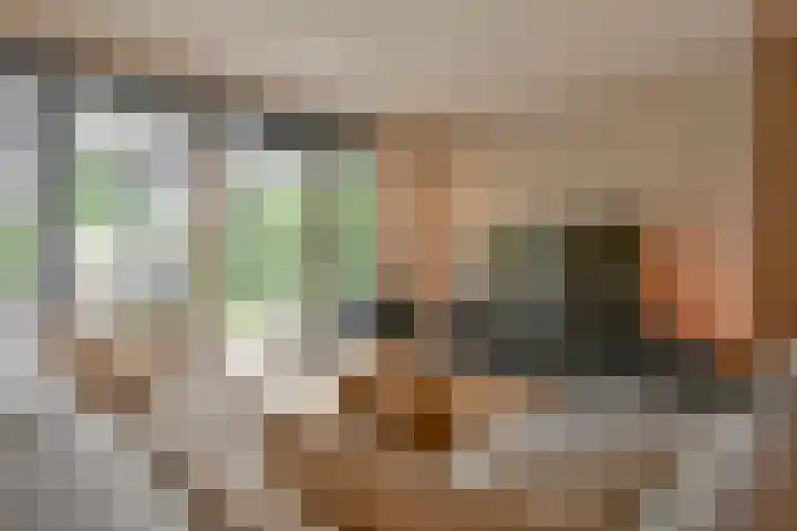 Koolmees 22 Emmen thumbnail 20