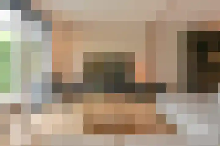 Koolmees 22 Emmen thumbnail 21
