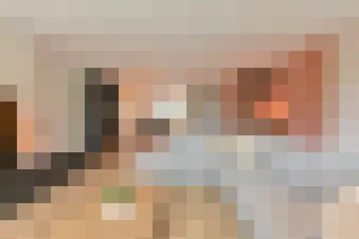 Koolmees 22 Emmen thumbnail 26