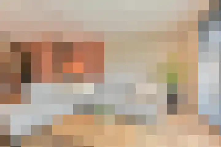 Koolmees 22 Emmen thumbnail 27